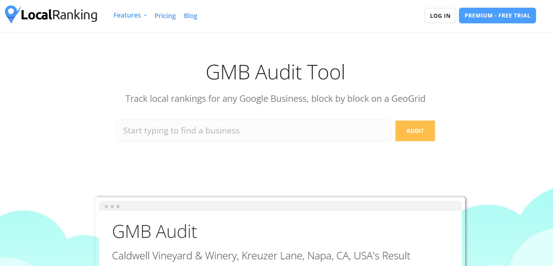 google business audit